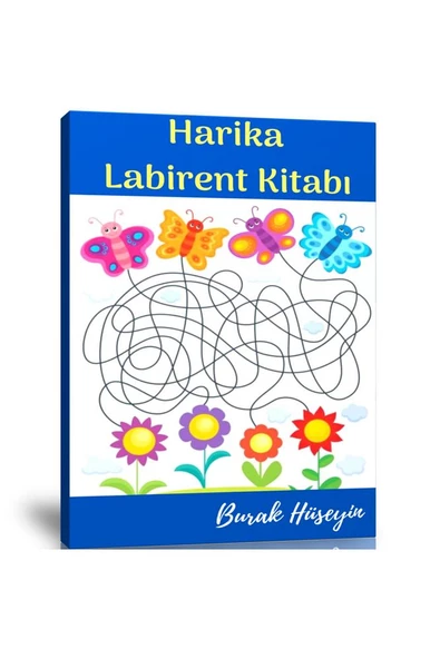 Okul Öncesi Harika Labirent Kitabı ürün görseli 1