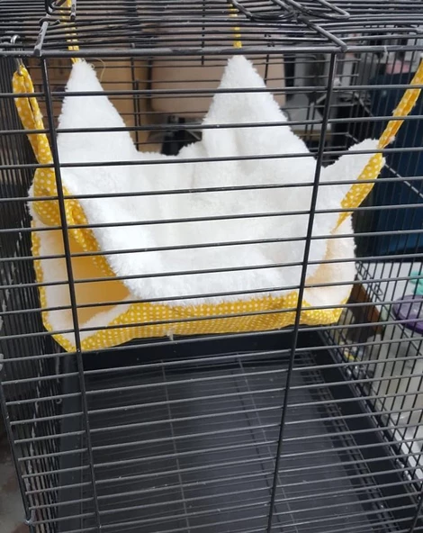 Kemirgen Çift Katlı Hamak; Ginepig, Kirpi, Sugar Glider,Cüce Tavşan (34cm x 34cm) 1Adet