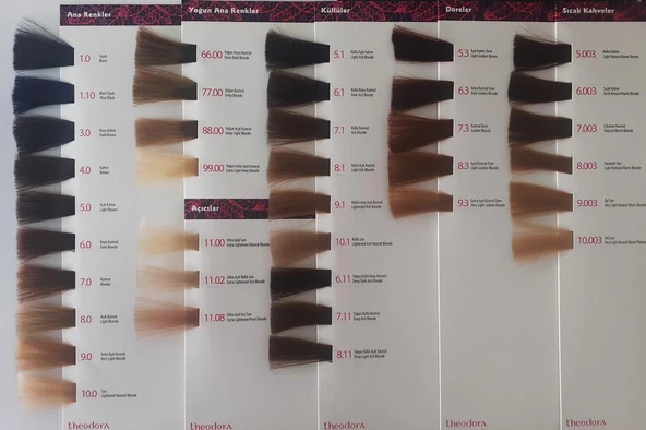 H.A.SS Oksidan 60 Ml. + Theodora Saç Boyası 60 Ml. (2'şer Adet) - 4