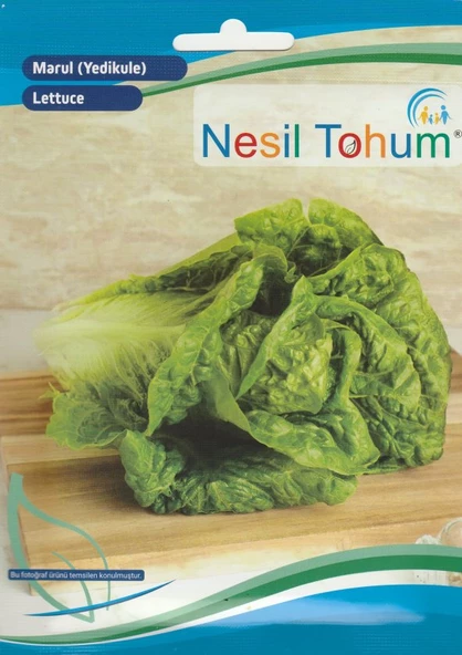 NESİL MARUL TOHUMU (YEDİKULE) 5 GRAM