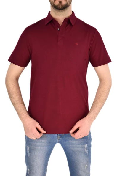 Erkek Gömlek Yaka Tişört Ottoman BGL-ST01942 - Resim 4