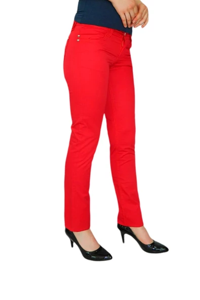 Kadın Renkli Düşük Bel Pantolon Kanvas 348 TT002238 - Resim 3