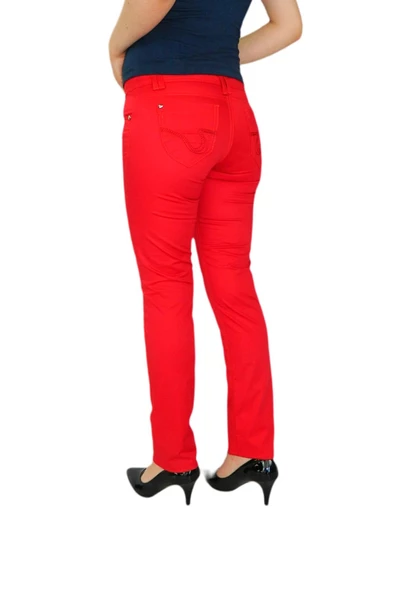 Kadın Renkli Düşük Bel Pantolon Kanvas 348 TT002238 - Resim 5