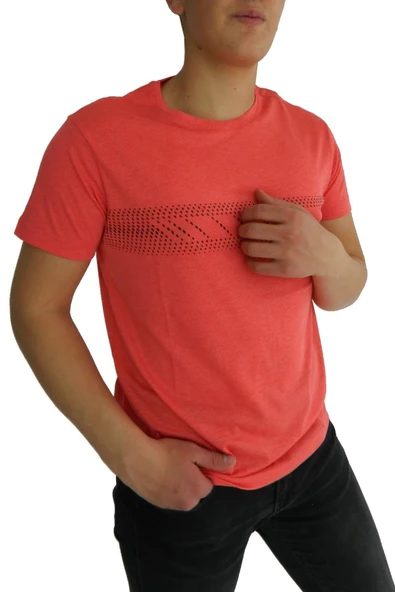 NAYKI ERKEK SIFIR YAKA PANO BASKILI PETEK SÜPREM T-SHİRT 2123 BGL-ST01 - Resim 8