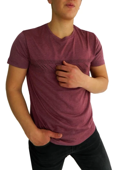 NAYKI ERKEK SIFIR YAKA PANO BASKILI PETEK SÜPREM T-SHİRT 2123 BGL-ST01 - Resim 4