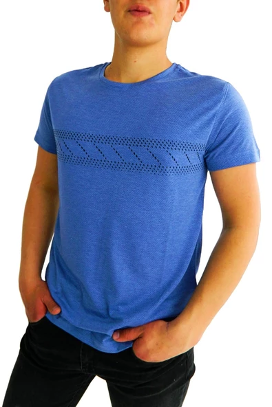 NAYKI ERKEK SIFIR YAKA PANO BASKILI PETEK SÜPREM T-SHİRT 2123 BGL-ST01 ürün görseli