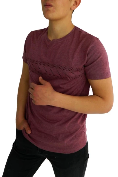 NAYKI ERKEK SIFIR YAKA PANO BASKILI PETEK SÜPREM T-SHİRT 2123 BGL-ST01 - Resim 10