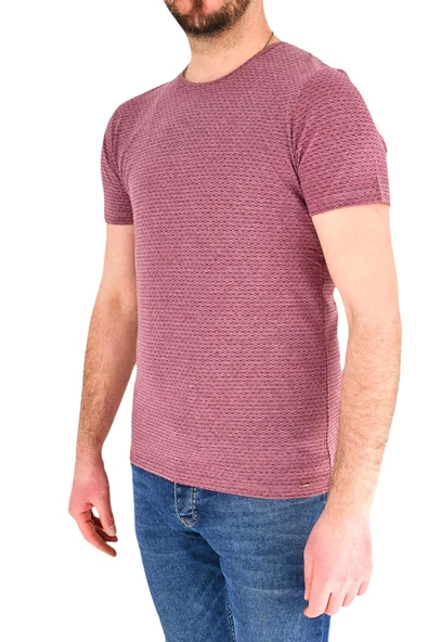 Erkek Sıfır Yaka Tişört T-752 BGL-ST01831 - Resim 5