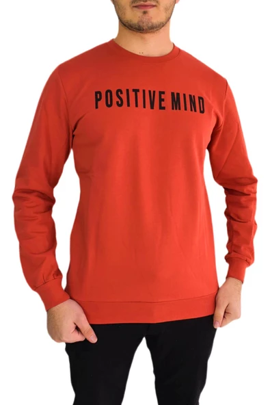 Erkek Sıfır Yaka Posıtıve Yazılı Sweat BGL-ST01721 - Resim 2