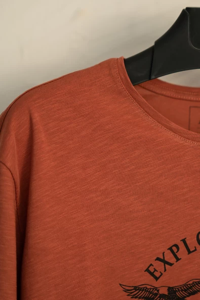 SIFIR YAKA BÜYÜK BEDEN BASKILI PENYE ERKEK T-SHİRT - 2