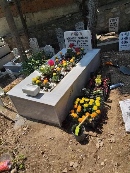 4 Lü Bitki Fidan Çiçek Seti Kabristan Mezarlık İçin - 4