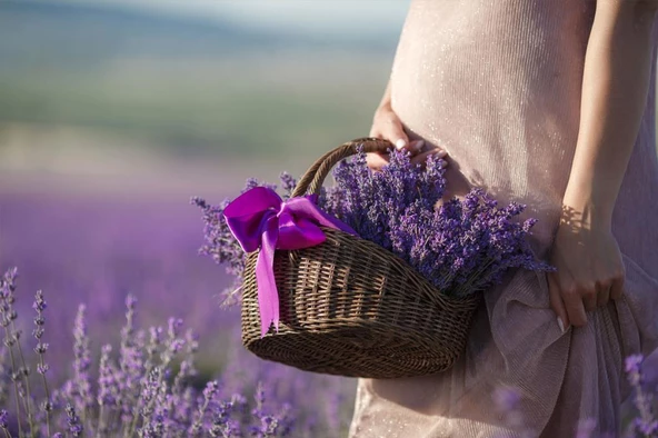 Naturel Doğal Kurutulmuş Lavanta Demeti 40-50 Cm 10 Adet 200-300 Dal - 2