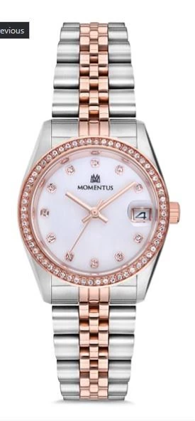 Momentus SW131T-02SR Kadın Kol Saati ürün görseli