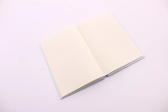 Lastikli Noktalı Sert Kapak Kaktüs Defter - 5
