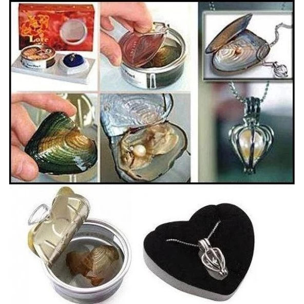 İstiridye İçinden Çıkan Gerçek İnci Kolye Set Sevgiliye Şık Hediye - 6