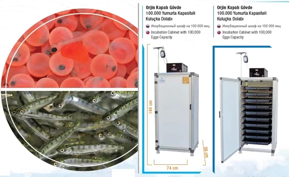 Alabalık Kuluçka Dolabı 100.000 Yumurta Kapasiteli - 3