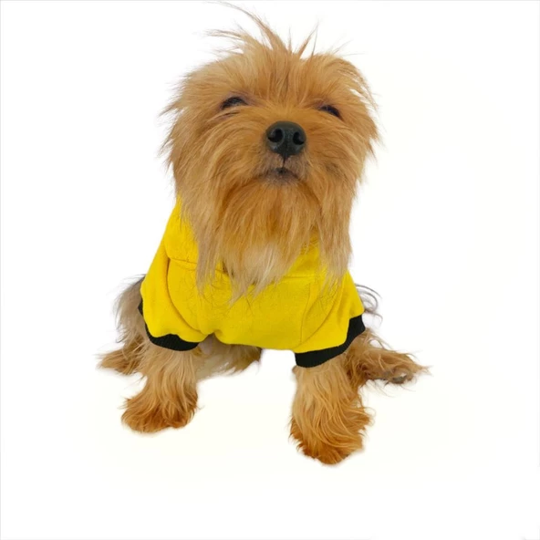 Yellow Lux Kapşonlu Sweatshirt Köpek Kıyafeti Köpek Elbisesi - 3
