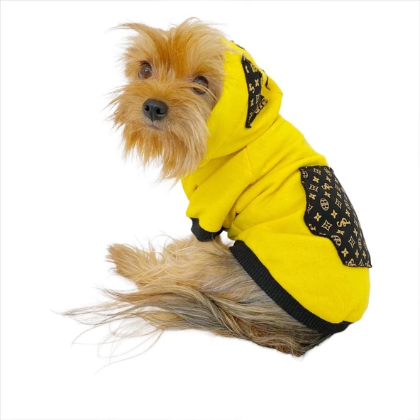 Yellow Lux Kapşonlu Sweatshirt Köpek Kıyafeti Köpek Elbisesi