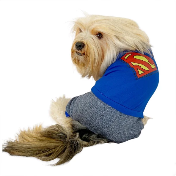 Superman Penye Tulum Köpek Tulumu Köpek Elbisesi - 3