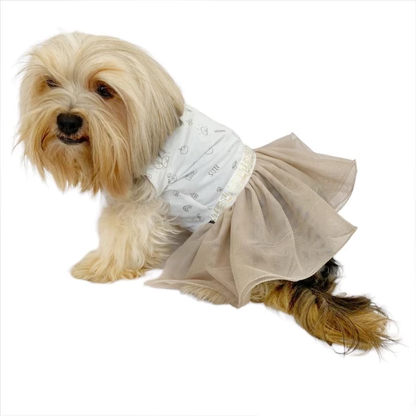Sun Cream Tütülü Köpek Elbisesi,  Kıyafeti Tutu - 2