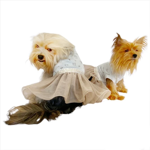 Sun Cream Tütülü Köpek Elbisesi,  Kıyafeti Tutu - 8