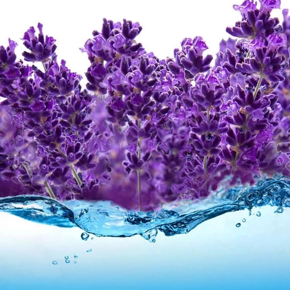 Yoğun Kokulu Doğal Lavanta Suyu 1000 Ml Lavender Water - 3