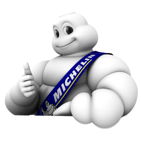 Michelin Mc12208 Dijital Basınç Göstergeli Ayak Pompası - 9