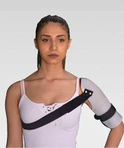 Humerus Breysi - 1