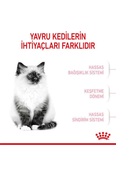 Royal Canin 36 Kitten Yavru Kuru Kedi Maması 2 kg - 5
