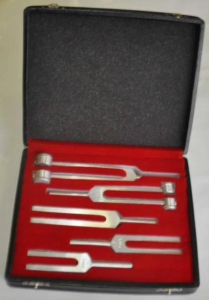 Mesitas Dyapazon Set 5'li