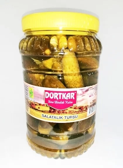 DORTKAR 1700 GR BIDON TURSU (SALATA)