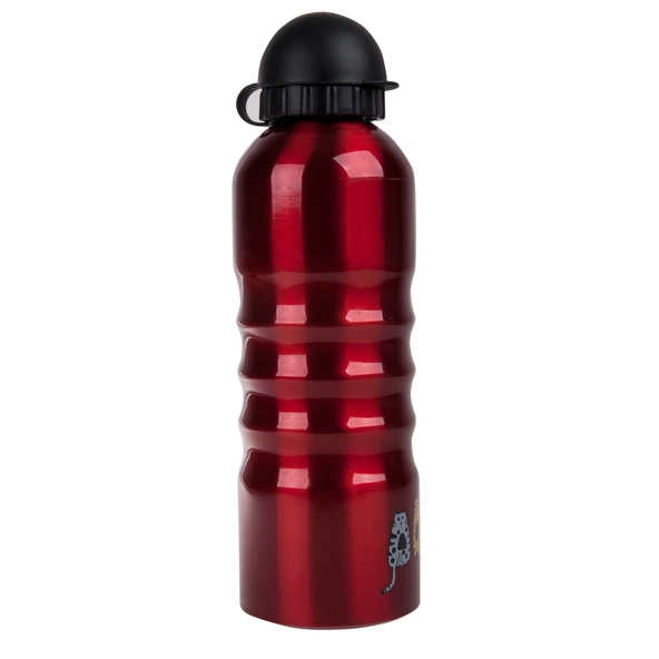 Biggdesign Cats Alüminyum Matara 700 Ml - 2