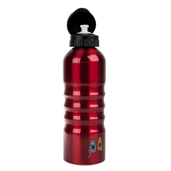 Biggdesign Cats Alüminyum Matara 700 Ml - 6