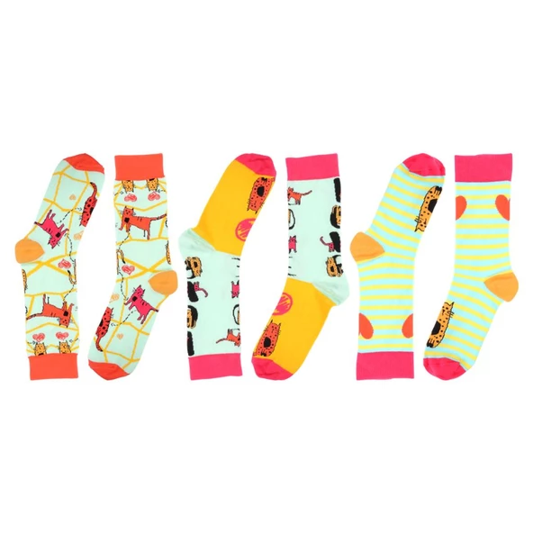 Biggdesign Cats Kadın Soket Çorap Seti - 3