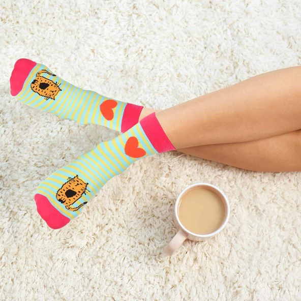 Biggdesign Cats Kadın Soket Çorap Seti - 10