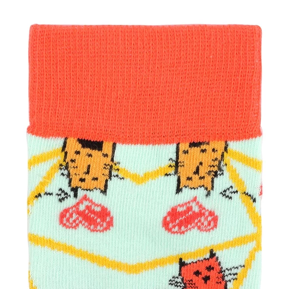 Biggdesign Cats Kadın Soket Çorap Seti - 4