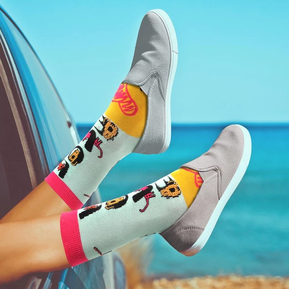 Biggdesign Cats Kadın Soket Çorap Seti - 9