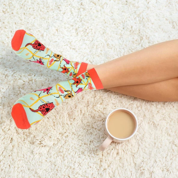 Biggdesign Cats Kadın Soket Çorap Seti - 12