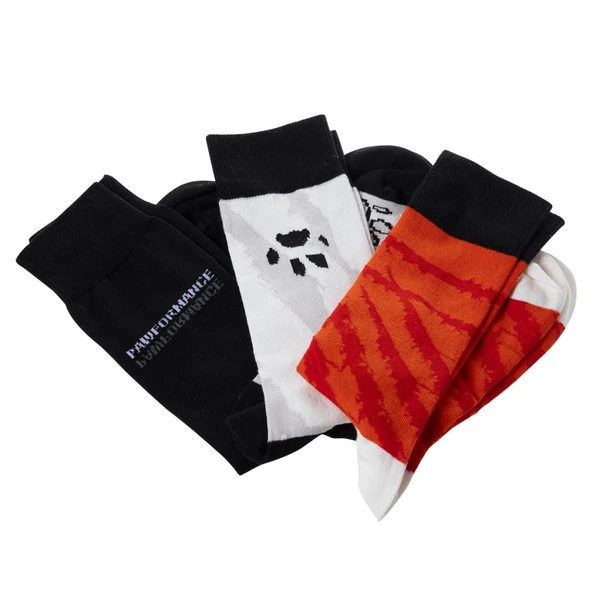 Biggdesign Dogs Erkek 3'lü Soket Çorap Seti - 2