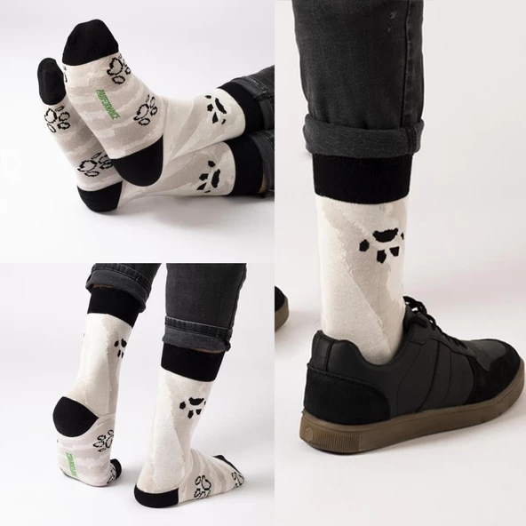 Biggdesign Dogs Erkek 3'lü Soket Çorap Seti - 9