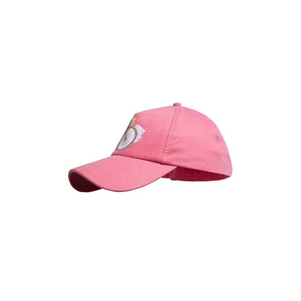Biggdesign Nature Pembe Şapka - 4