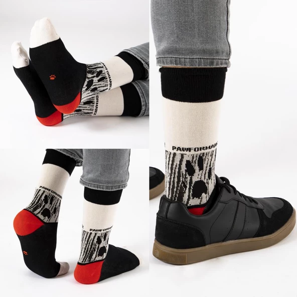 Biggdesign Dogs Pawformance Erkek 3'lü Soket Çorap Seti - 6