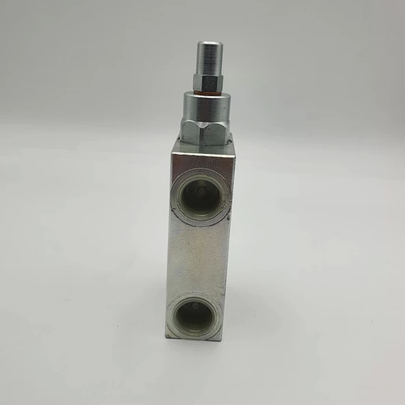 Hidrolik Tekli Yük Tutma Valfi A.M. 1/2 - Resim 3