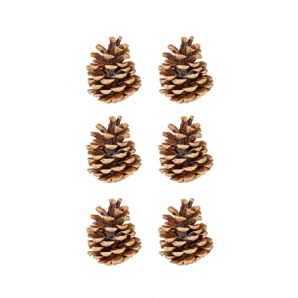 Yılbaşı Çam Ağcı Süsü Kozalak 6 cm 6'lı ürün görseli