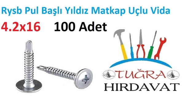 Rysb 4,2x16 mm 100 Adet Beyaz Pul Başlı Matkap Uçlu Vida Otomatik Vida