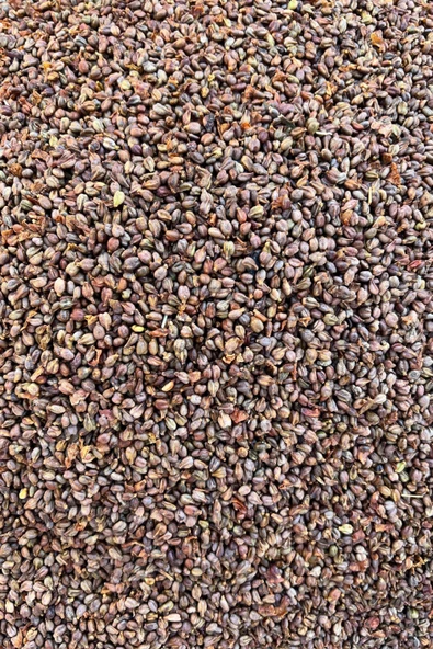 500 Gr Kurtulmuş Doğal Şıralık ve Siyah Üzüm Şıra Üzümü Çekirdeği Mardin Midyat Yöresel Lezzetleri - 8