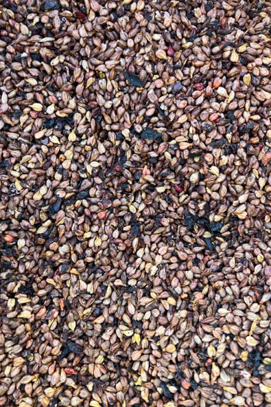 500 Gr Kurtulmuş Doğal Şıralık ve Siyah Üzüm Şıra Üzümü Çekirdeği Mardin Midyat Yöresel Lezzetleri - 6