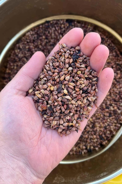 500 Gr Kurtulmuş Doğal Şıralık ve Siyah Üzüm Şıra Üzümü Çekirdeği Mardin Midyat Yöresel Lezzetleri - 4