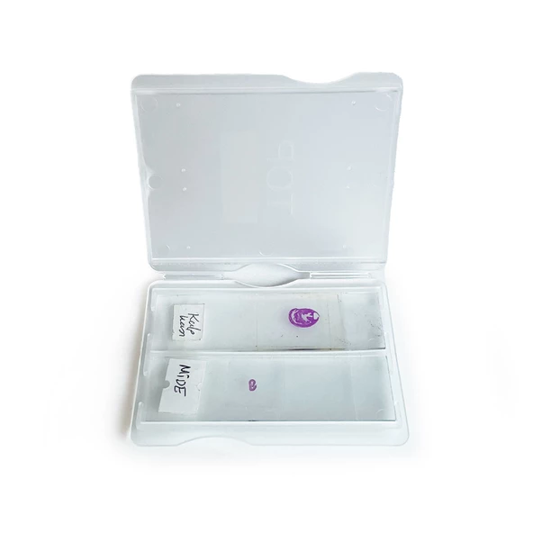 ISOLAB Lam Taşıma Kutusu 2 Lam - 4