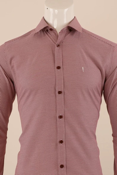 Uzun Kol Regular Fit Desenli Gömlek - 11